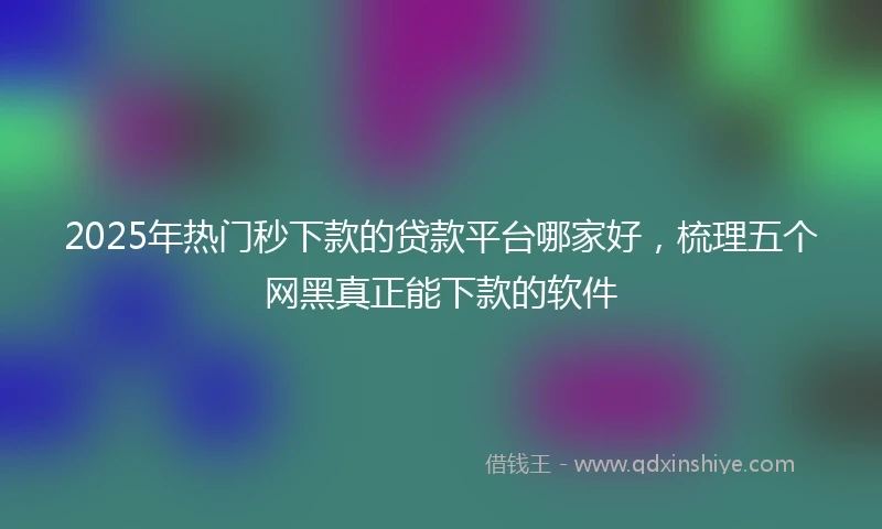 2025年热门秒下款的贷款平台哪家好，梳理五个网黑真正能下款的软件