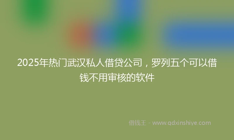 2025年热门武汉私人借贷公司，罗列五个可以借钱不用审核的软件