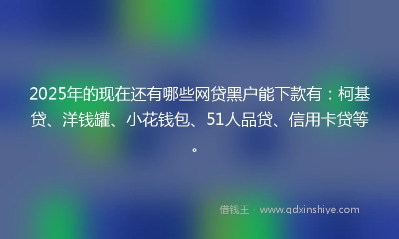 2025年的现在还有哪些网贷黑户能下款有：柯基贷、洋钱罐、小花钱包、51人品贷、信用卡贷等。
