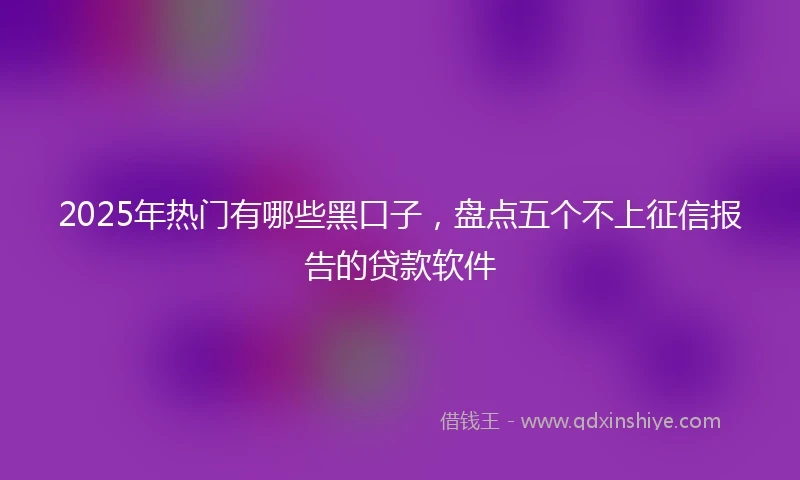 2025年热门有哪些黑口子，盘点五个不上征信报告的贷款软件