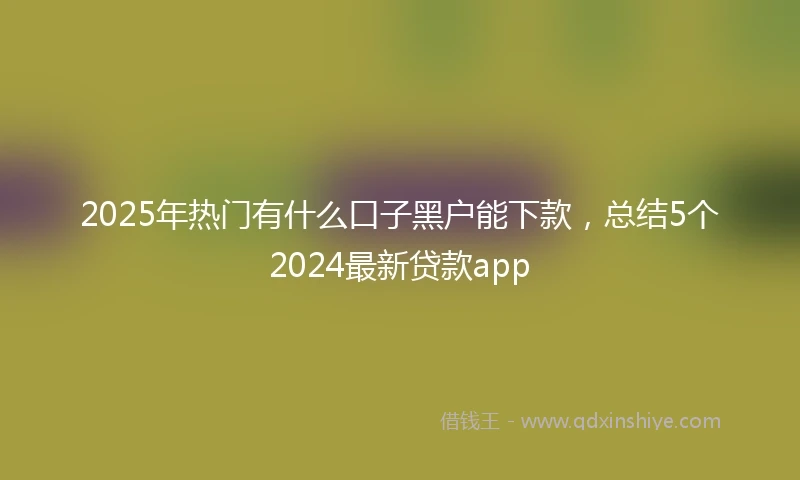 2025年热门有什么口子黑户能下款，总结5个2024最新贷款app