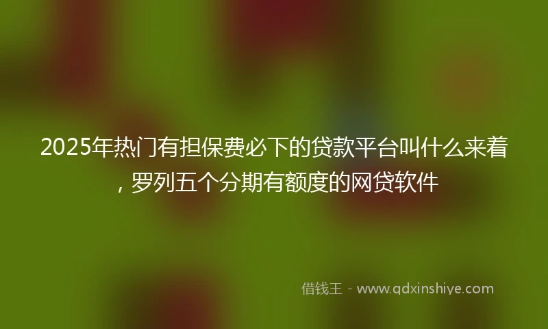 2025年热门有担保费必下的贷款平台叫什么来着，罗列五个分期有额度的网贷软件