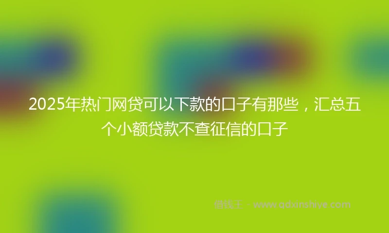 2025年热门网贷可以下款的口子有那些，汇总五个小额贷款不查征信的口子