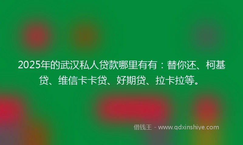 2025年的武汉私人贷款哪里有有：替你还、柯基贷、维信卡卡贷、好期贷、拉卡拉等。