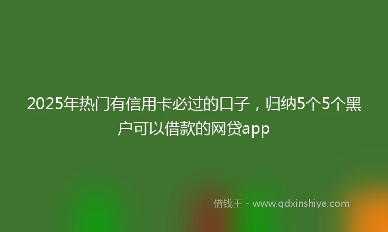 2025年热门有信用卡必过的口子，归纳5个5个黑户可以借款的网贷app