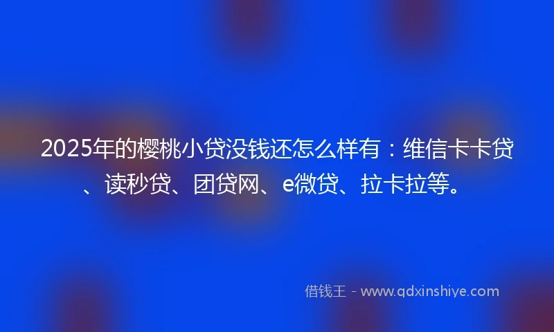 2025年的樱桃小贷没钱还怎么样有：维信卡卡贷、读秒贷、团贷网、e微贷、拉卡拉等。