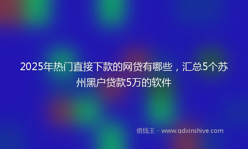 2025年热门直接下款的网贷有哪些，汇总5个苏州黑户贷款5万的软件