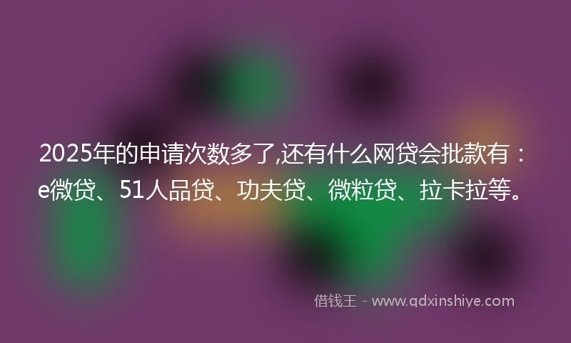 2025年的申请次数多了,还有什么网贷会批款有：e微贷、51人品贷、功夫贷、微粒贷、拉卡拉等。