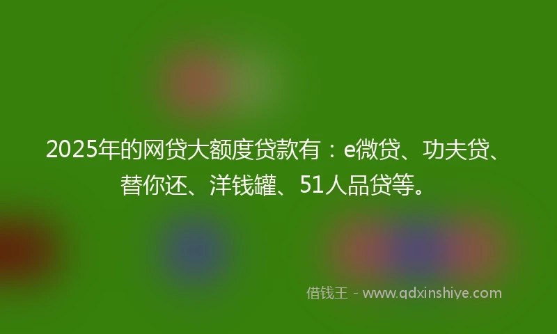 2025年的网贷大额度贷款有：e微贷、功夫贷、替你还、洋钱罐、51人品贷等。