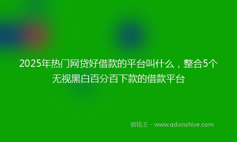 2025年热门网贷好借款的平台叫什么，整合5个无视黑白百分百下款的借款平台