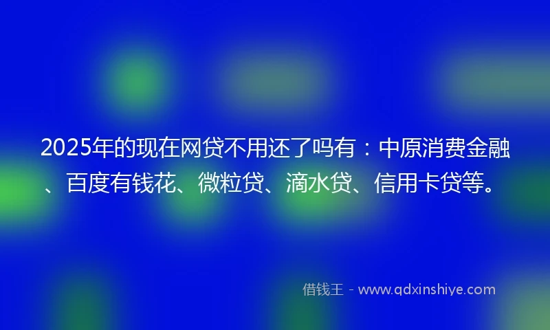 2025年的现在网贷不用还了吗有：中原消费金融、百度有钱花、微粒贷、滴水贷、信用卡贷等。