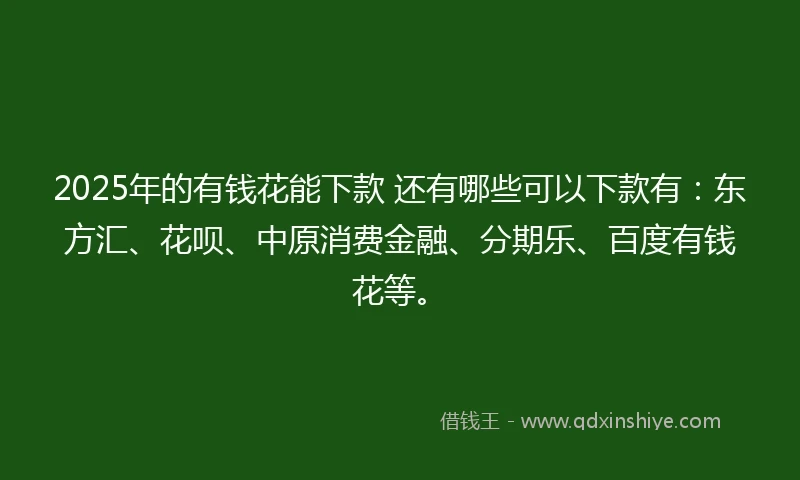 2025年的有钱花能下款 还有哪些可以下款有：东方汇、花呗、中原消费金融、分期乐、百度有钱花等。