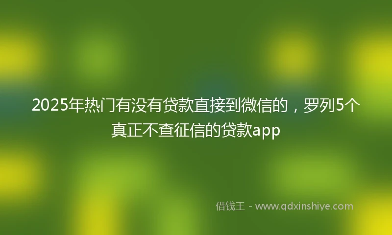 2025年热门有没有贷款直接到微信的，罗列5个真正不查征信的贷款app