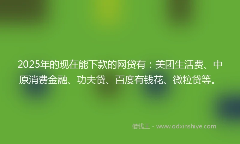 2025年的现在能下款的网贷有：美团生活费、中原消费金融、功夫贷、百度有钱花、微粒贷等。