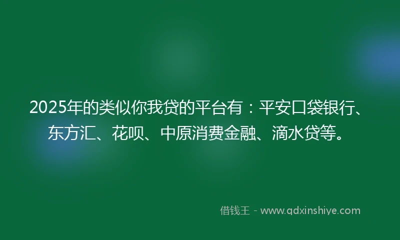 2025年的类似你我贷的平台有：平安口袋银行、东方汇、花呗、中原消费金融、滴水贷等。