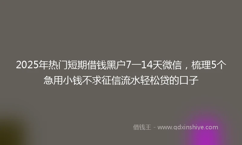2025年热门短期借钱黑户7一14天微信，梳理5个急用小钱不求征信流水轻松贷的口子