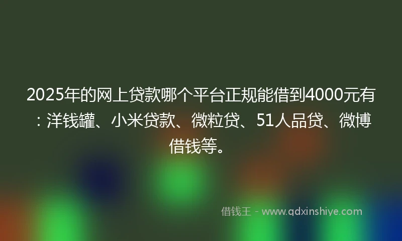 2025年的网上贷款哪个平台正规能借到4000元有：洋钱罐、小米贷款、微粒贷、51人品贷、微博借钱等。