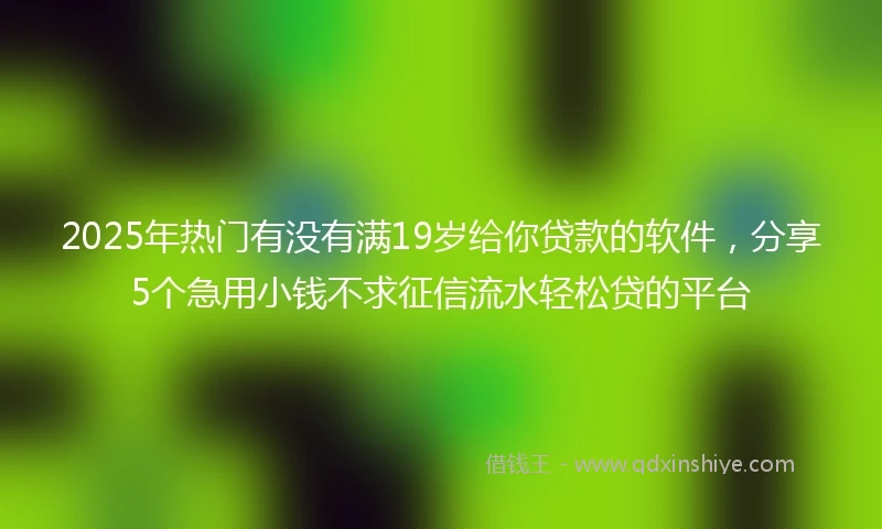 2025年热门有没有满19岁给你贷款的软件，分享5个急用小钱不求征信流水轻松贷的平台