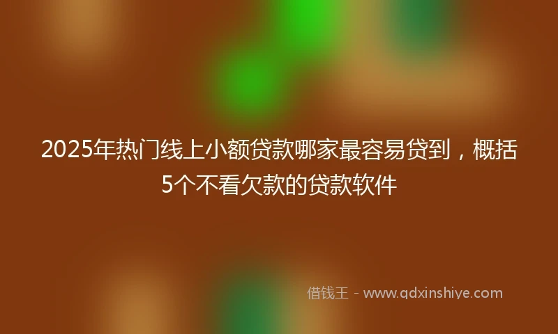 2025年热门线上小额贷款哪家最容易贷到，概括5个不看欠款的贷款软件