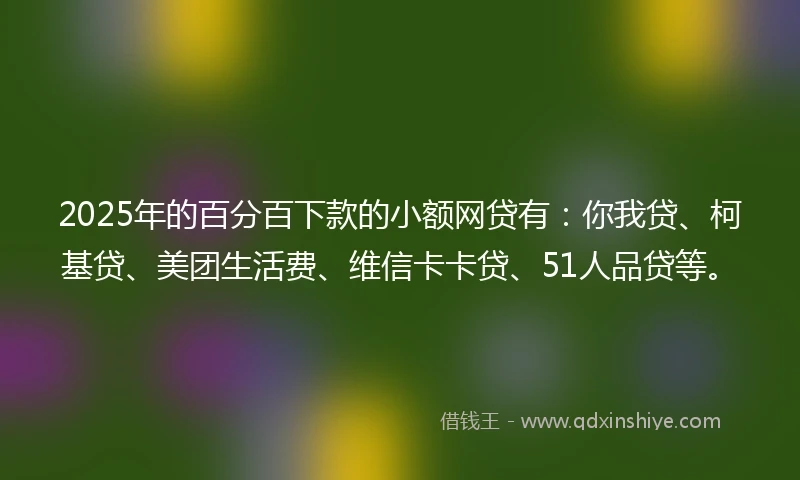 2025年的百分百下款的小额网贷有：你我贷、柯基贷、美团生活费、维信卡卡贷、51人品贷等。