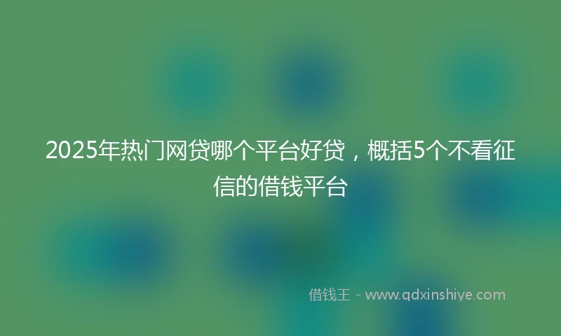 2025年热门网贷哪个平台好贷，概括5个不看征信的借钱平台