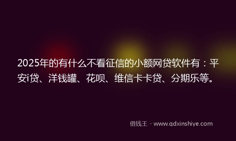 2025年的有什么不看征信的小额网贷软件有：平安i贷、洋钱罐、花呗、维信卡卡贷、分期乐等。