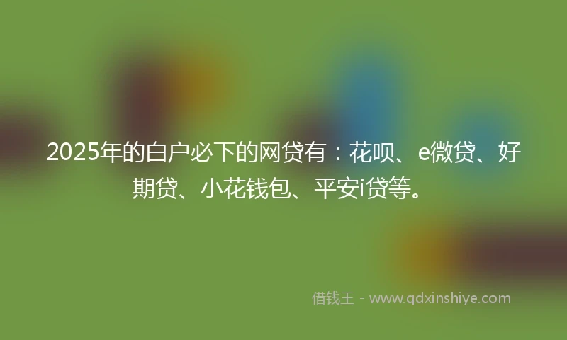 2025年的白户必下的网贷有：花呗、e微贷、好期贷、小花钱包、平安i贷等。