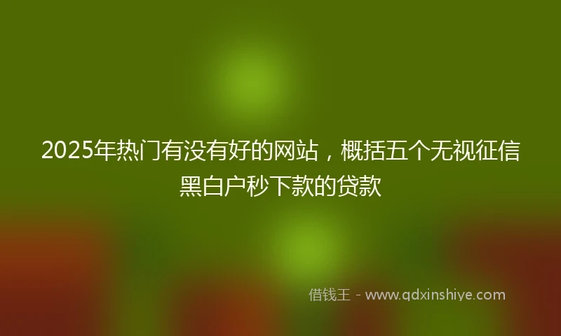 2025年热门有没有好的网站，概括五个无视征信黑白户秒下款的贷款
