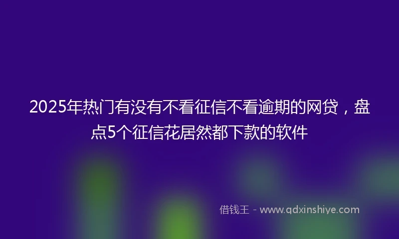 2025年热门有没有不看征信不看逾期的网贷，盘点5个征信花居然都下款的软件