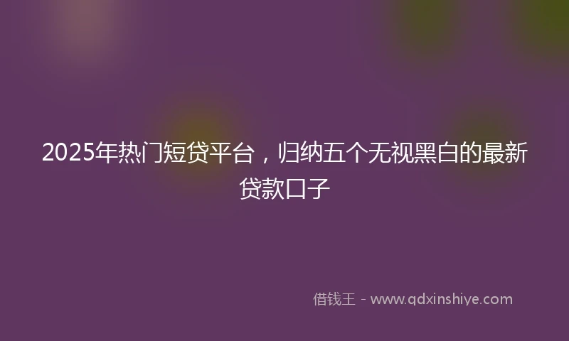 2025年热门短贷平台，归纳五个无视黑白的最新贷款口子