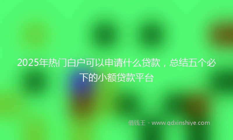 2025年热门白户可以申请什么贷款，总结五个必下的小额贷款平台
