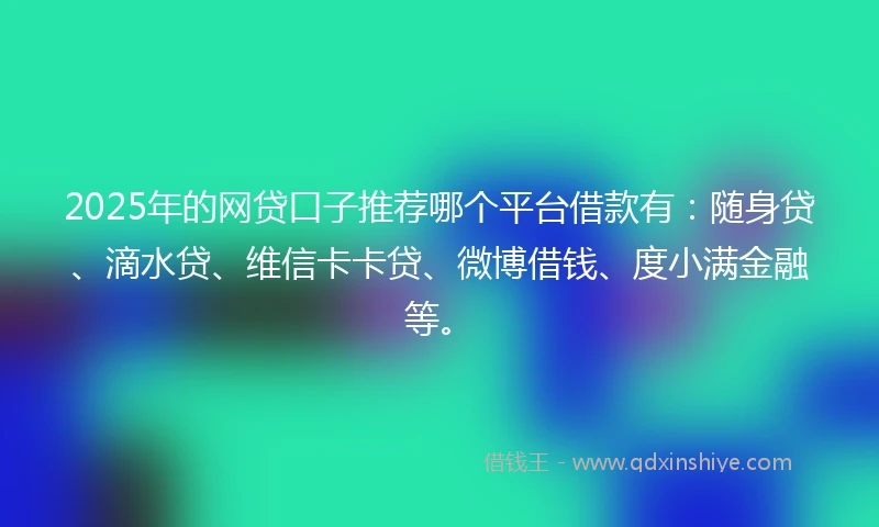 2025年的网贷口子推荐哪个平台借款有：随身贷、滴水贷、维信卡卡贷、微博借钱、度小满金融等。