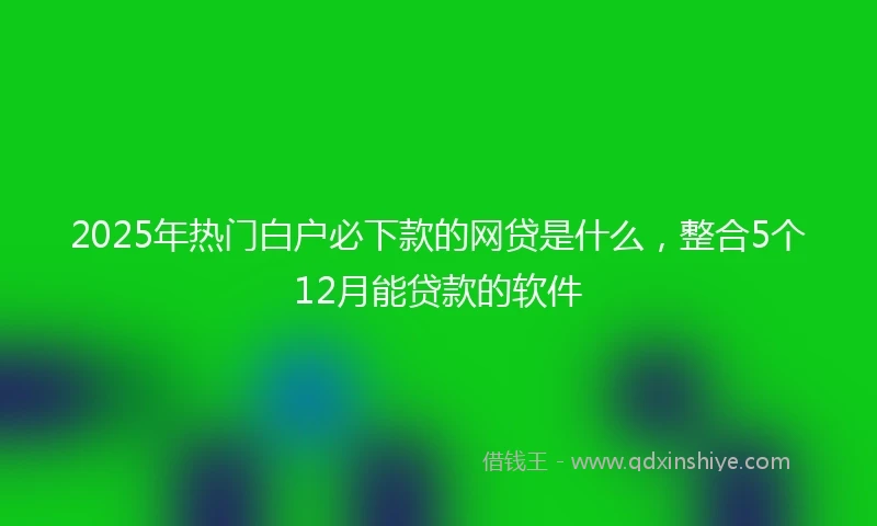 2025年热门白户必下款的网贷是什么，整合5个12月能贷款的软件
