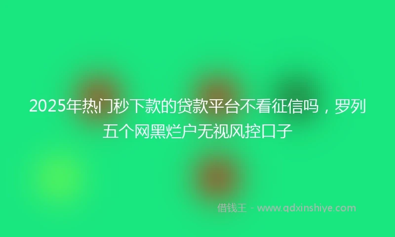 2025年热门秒下款的贷款平台不看征信吗，罗列五个网黑烂户无视风控口子