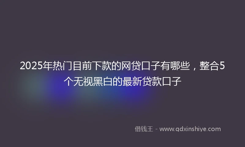 2025年热门目前下款的网贷口子有哪些，整合5个无视黑白的最新贷款口子