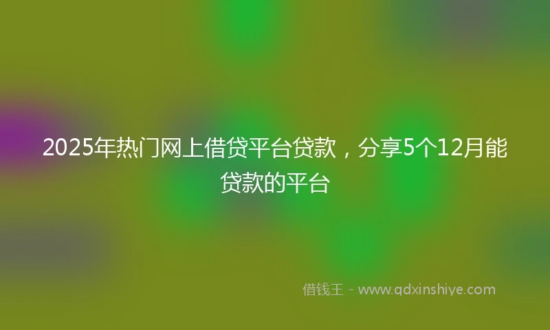 2025年热门网上借贷平台贷款，分享5个12月能贷款的平台