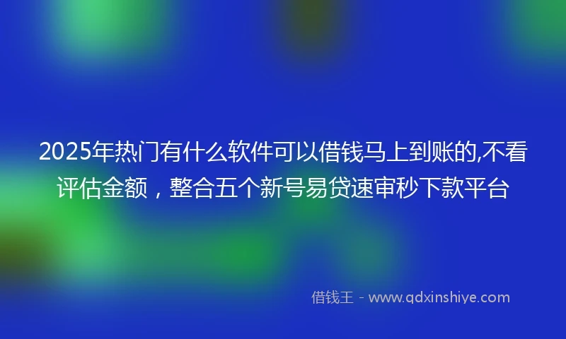 2025年热门有什么软件可以借钱马上到账的,不看评估金额，整合五个新号易贷速审秒下款平台