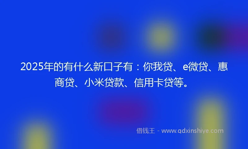2025年的有什么新口子有：你我贷、e微贷、惠商贷、小米贷款、信用卡贷等。