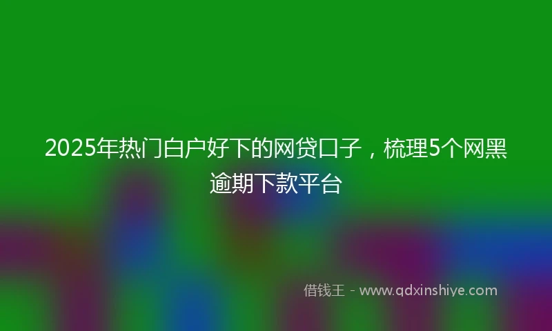 2025年热门白户好下的网贷口子，梳理5个网黑逾期下款平台