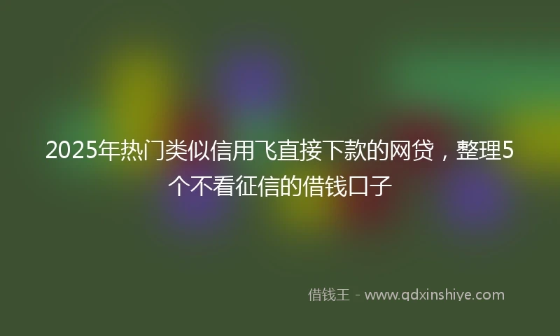 2025年热门类似信用飞直接下款的网贷，整理5个不看征信的借钱口子
