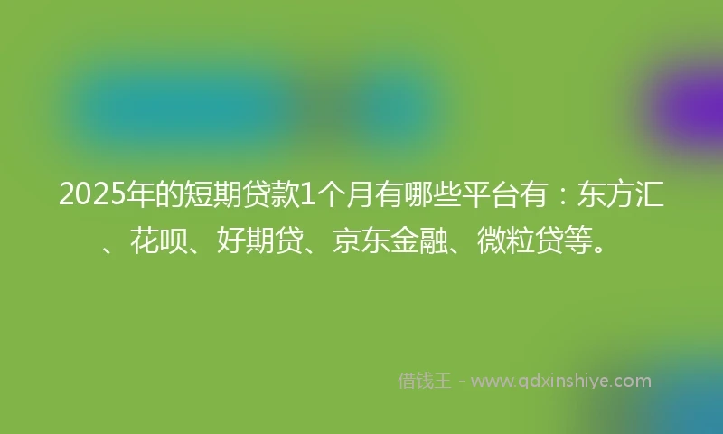 2025年的短期贷款1个月有哪些平台有：东方汇、花呗、好期贷、京东金融、微粒贷等。