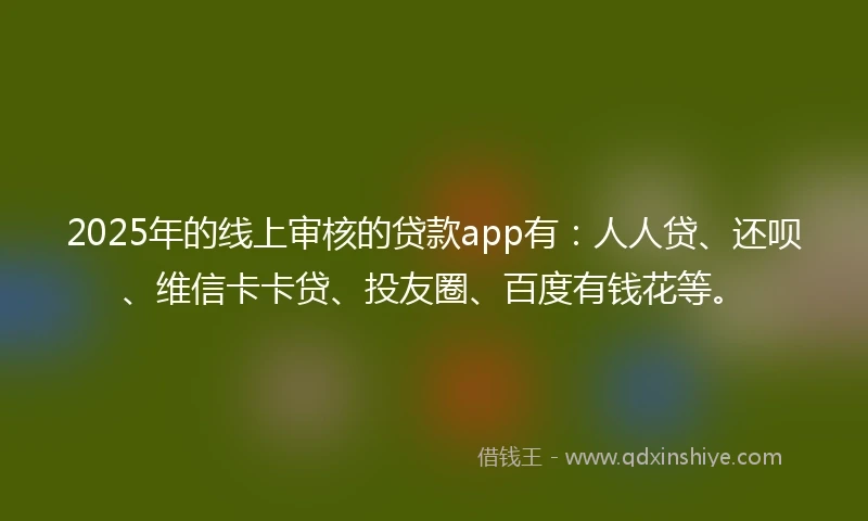 2025年的线上审核的贷款app有：人人贷、还呗、维信卡卡贷、投友圈、百度有钱花等。
