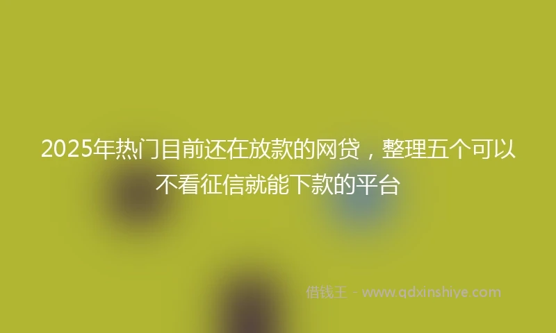 2025年热门目前还在放款的网贷，整理五个可以不看征信就能下款的平台