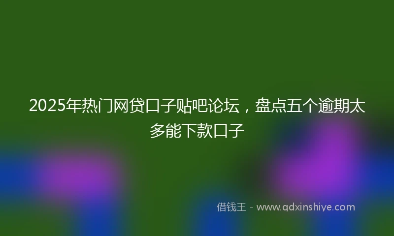 2025年热门网贷口子贴吧论坛，盘点五个逾期太多能下款口子