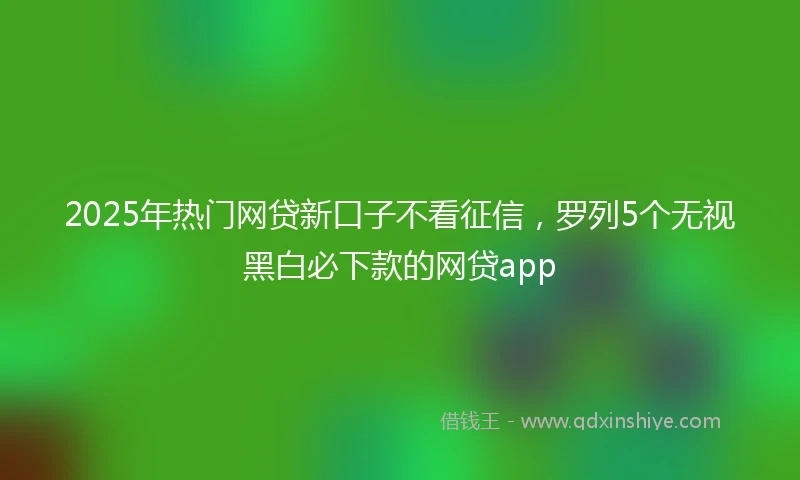 2025年热门网贷新口子不看征信，罗列5个无视黑白必下款的网贷app