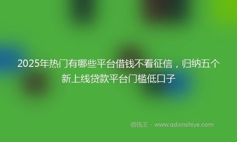 2025年热门有哪些平台借钱不看征信，归纳五个新上线贷款平台门槛低口子
