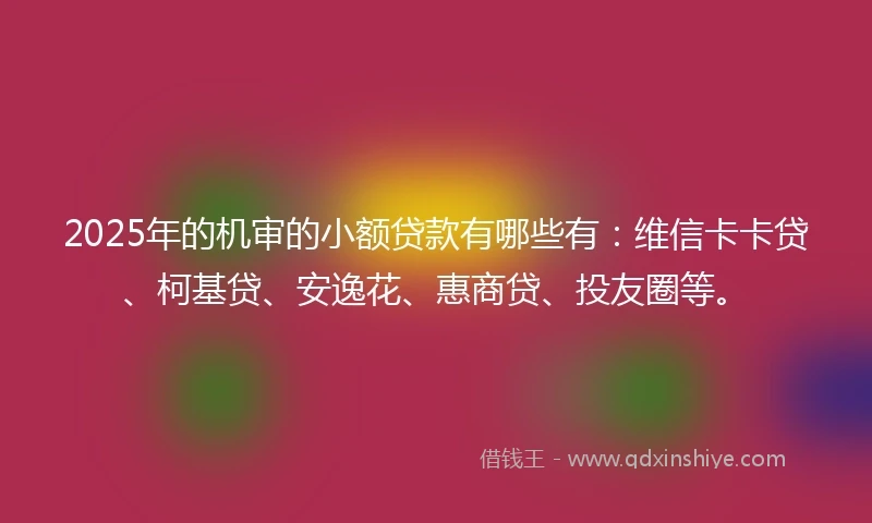 2025年的机审的小额贷款有哪些有：维信卡卡贷、柯基贷、安逸花、惠商贷、投友圈等。