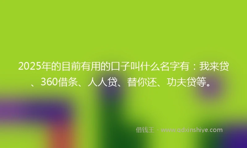 2025年的目前有用的口子叫什么名字有：我来贷、360借条、人人贷、替你还、功夫贷等。