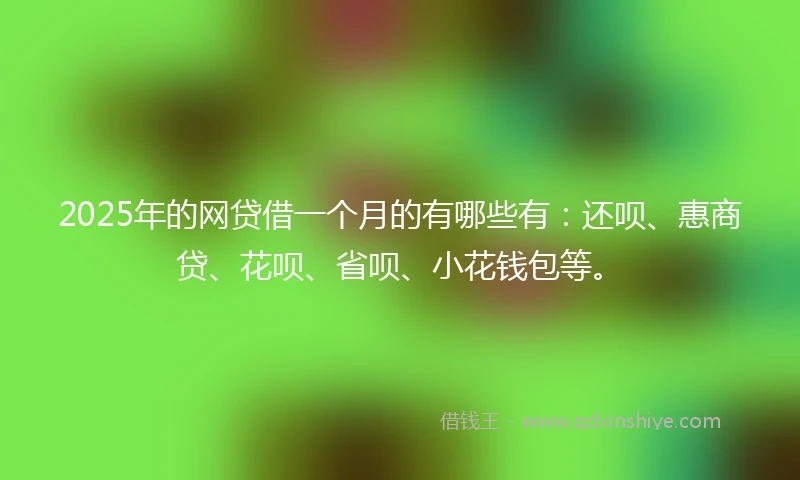 2025年的网贷借一个月的有哪些有：还呗、惠商贷、花呗、省呗、小花钱包等。
