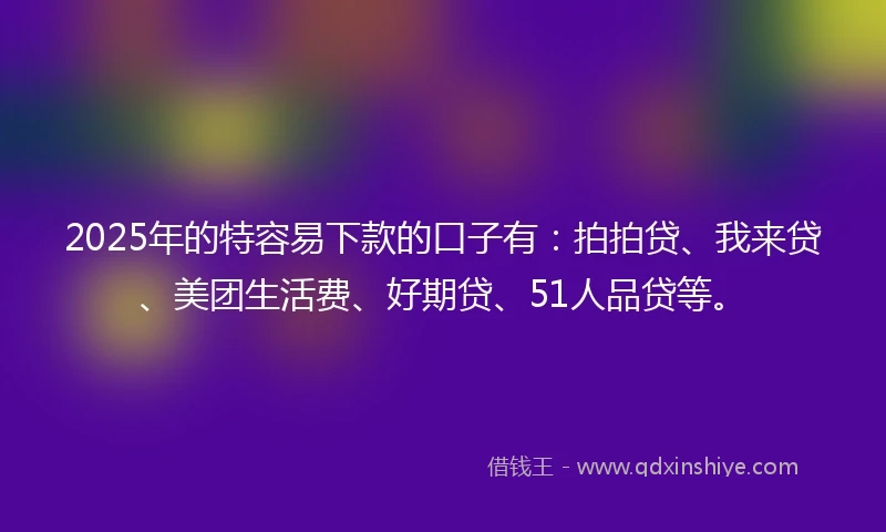 2025年的特容易下款的口子有：拍拍贷、我来贷、美团生活费、好期贷、51人品贷等。